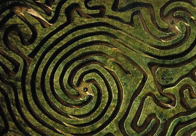 seraphicxc's tweet image. 