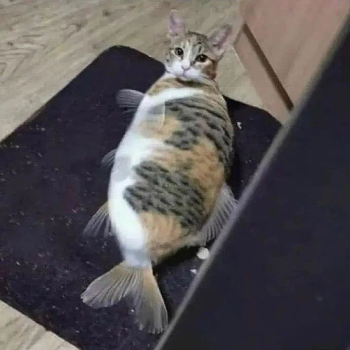 femcellord's tweet image. is this a choid