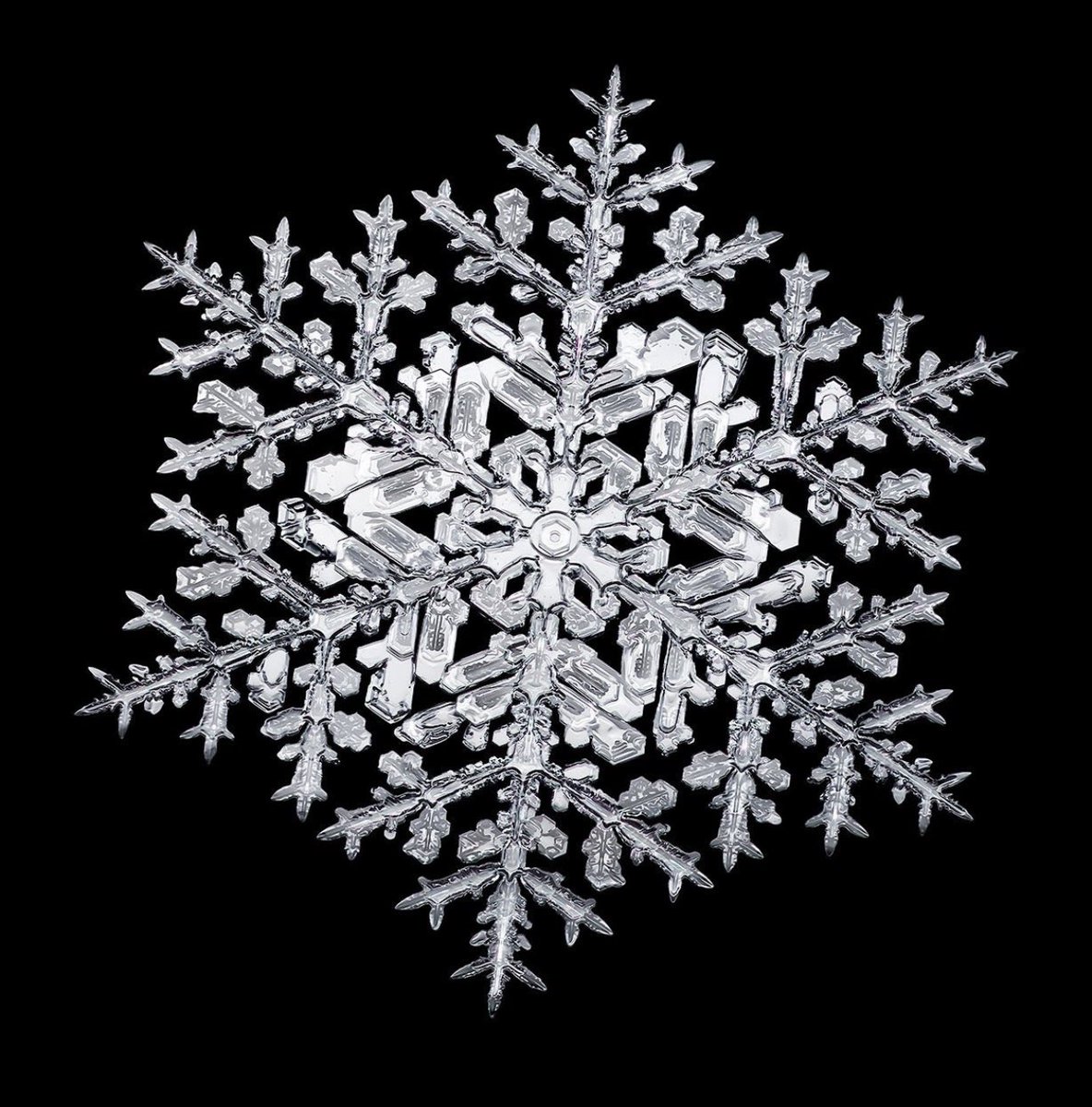 عبدالله السليمان tweet media