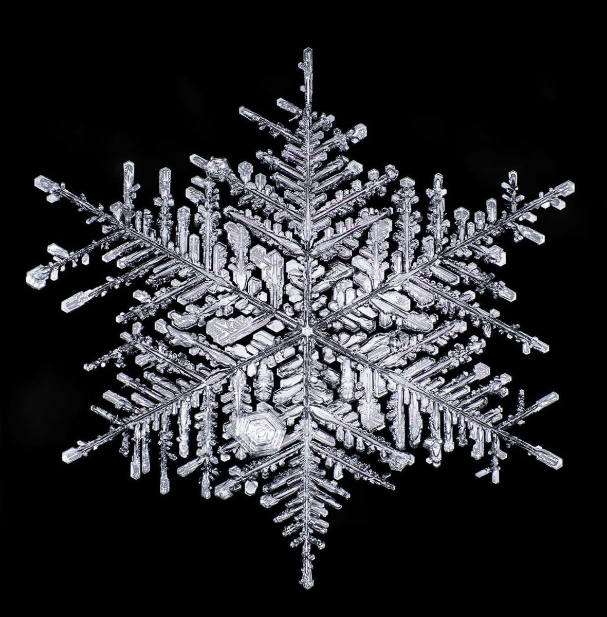 عبدالله السليمان tweet media