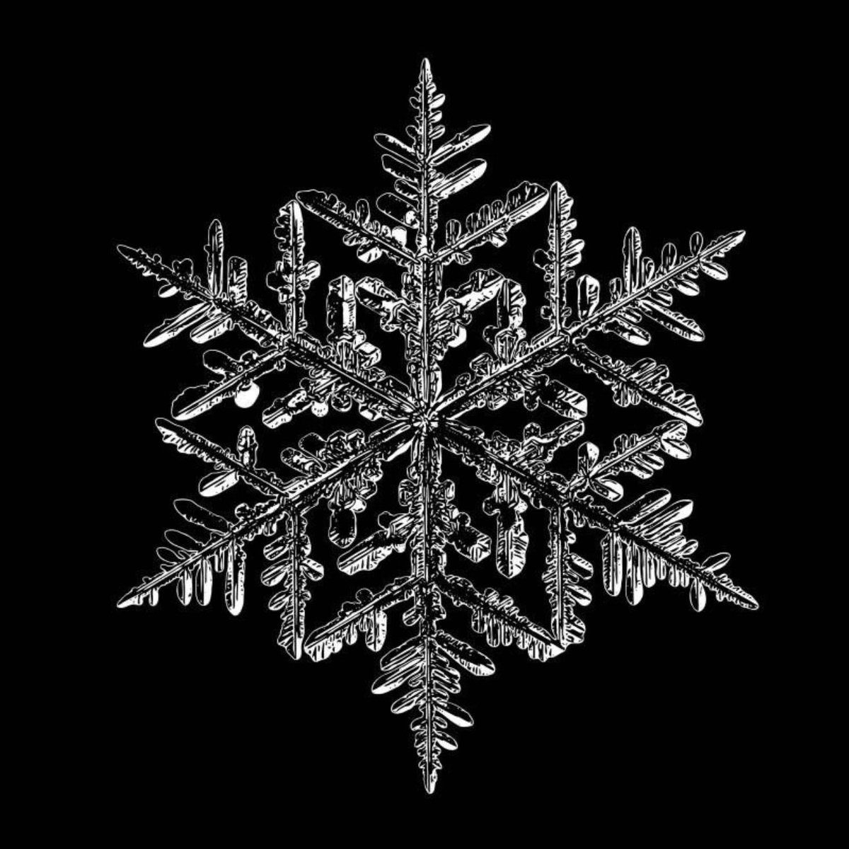 عبدالله السليمان tweet media