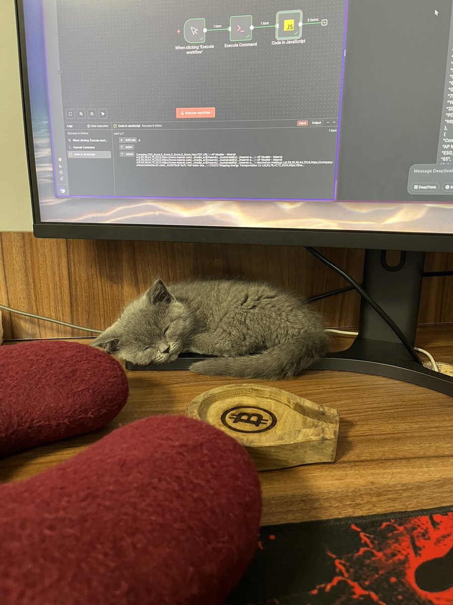 If this is not cute then what is?🥲🥺