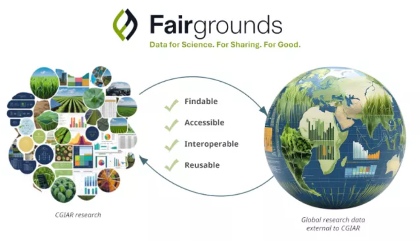 CGIAR_Data's tweet image. Agrifood research only delivers real impact when data is #FAIR.

Fairgrounds, a @CGIAR_Data-linked initiative, is creating a gateway to connect @CGIAR with global research data and open CGIAR’s data to the world. 📊🌍

🔗: on.cgiar.org/4j5S7WT 

#WithScienceWeCan