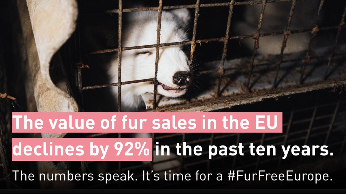 FOUR PAWS European Policy Office tweet media