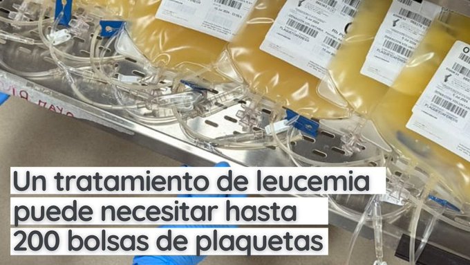 GVA Dona Sang tweet media