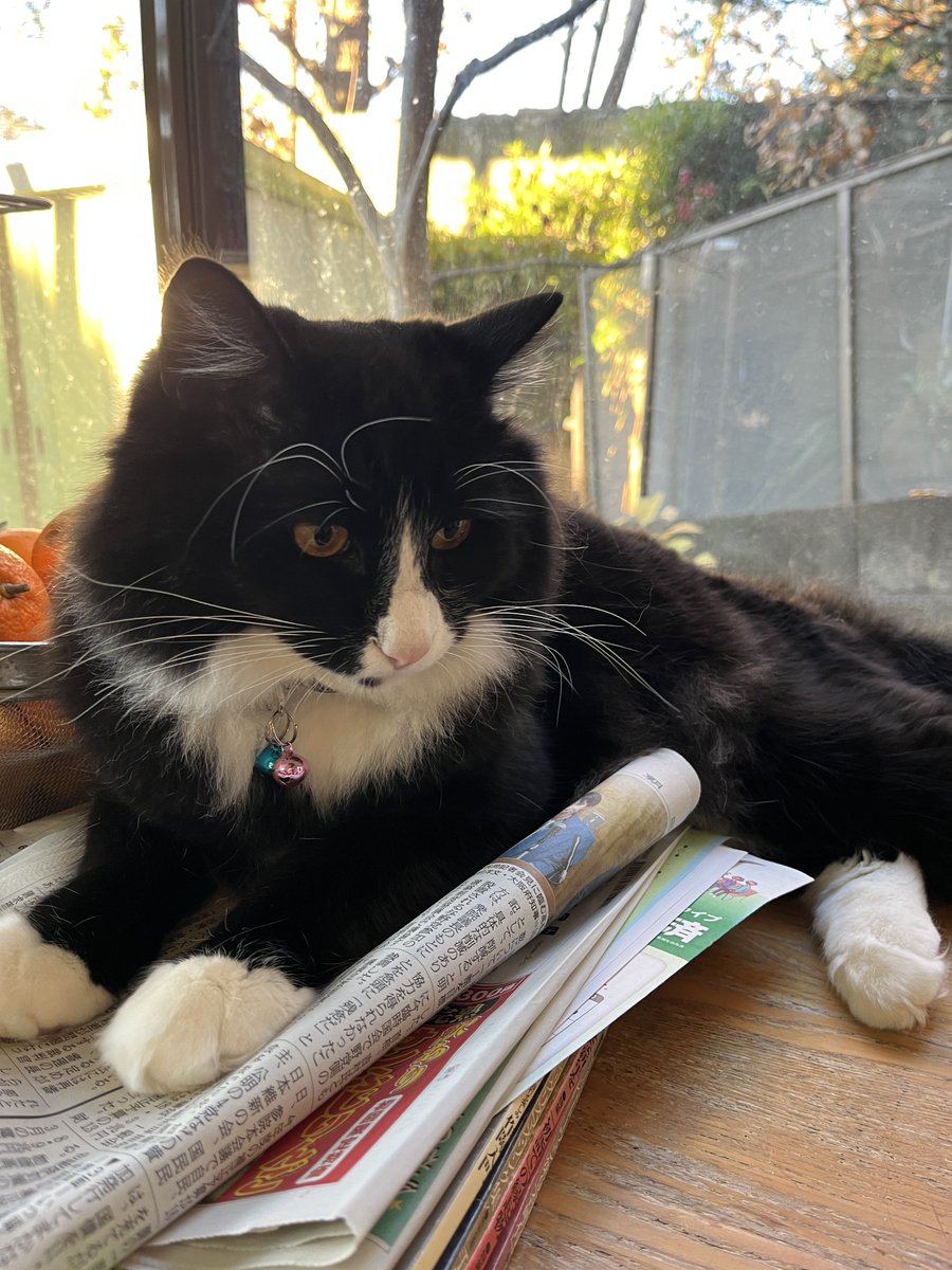 🇸🇪FGK🇸🇪C107(水) 西2け47b (@XJ6FgkABS) / Posts / X