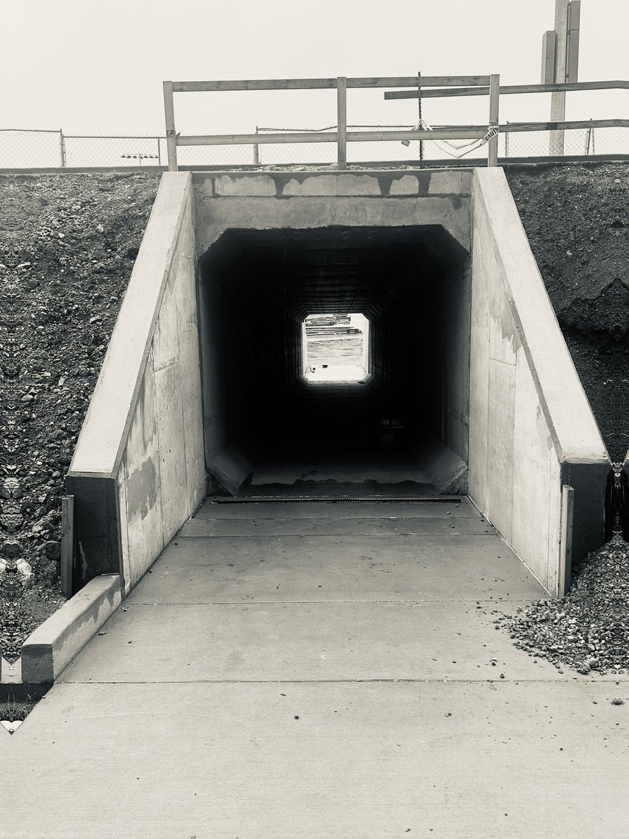 Brock Caraboa tweet media