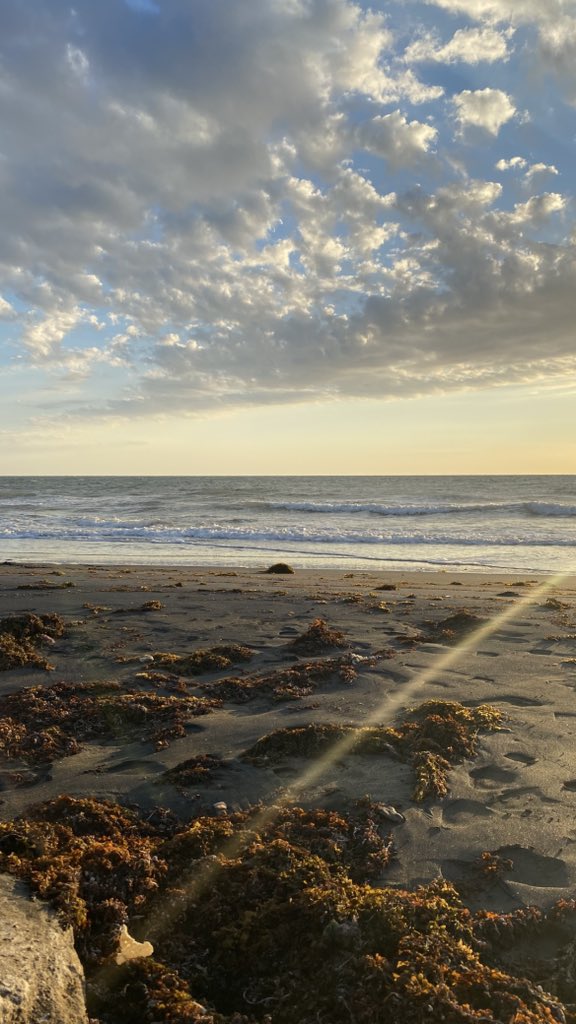 yellow black tweet media