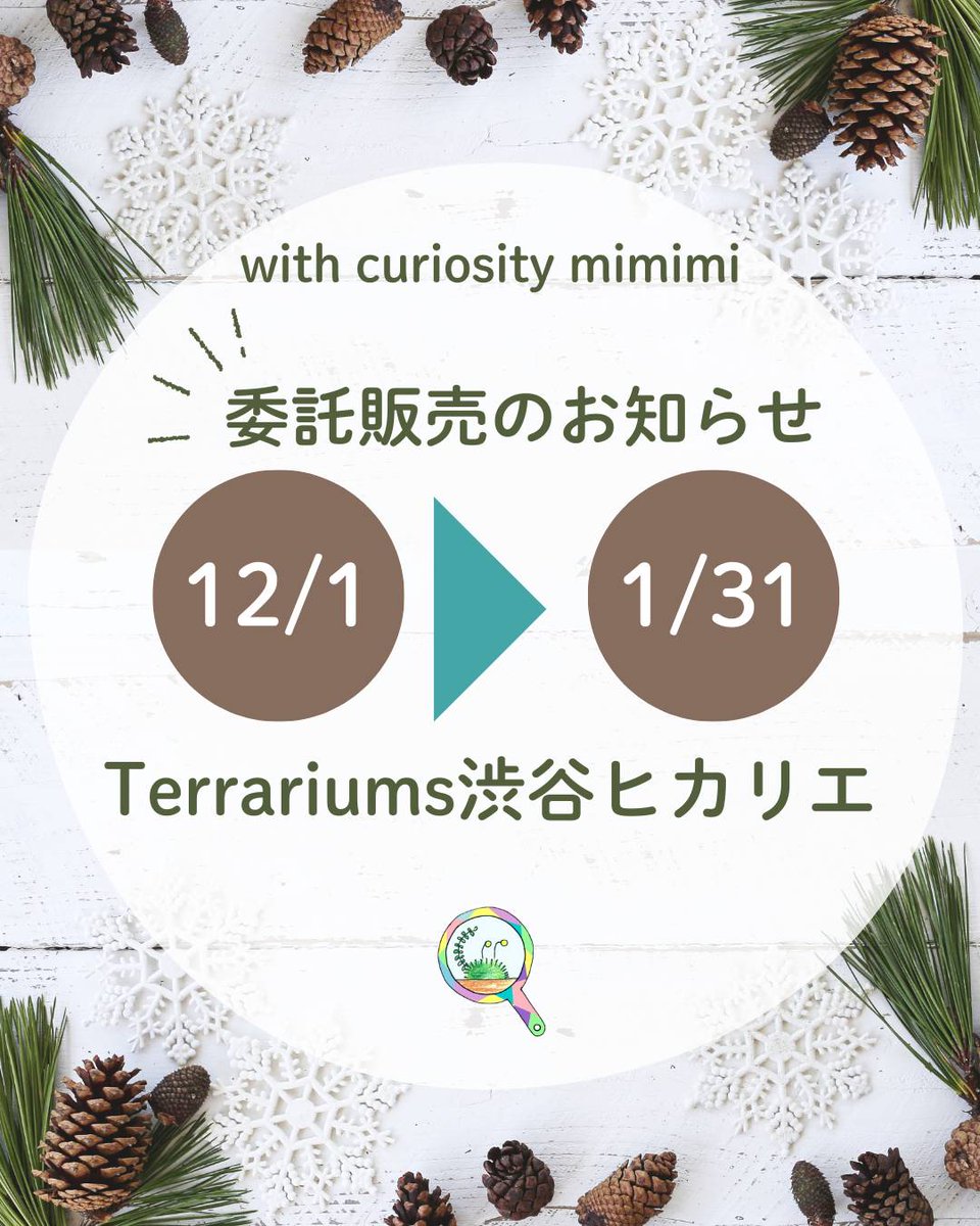 MimimiWith's tweet photo. お知らせし忘れていました…
また #Terrariums渋谷 さんにてお世話になります。
お近くまでお越しの祭は是非お立ち寄りください！
苔テラリウムが沢山あってとっても楽しいお店です

 #feeltheGarden 
#渋谷ヒカリエ
#Garage渋谷
#渋谷スクランブルスクエア
#苔テラリウム
#癒しの箱庭 https://t.co/6Fd952C5Hx
