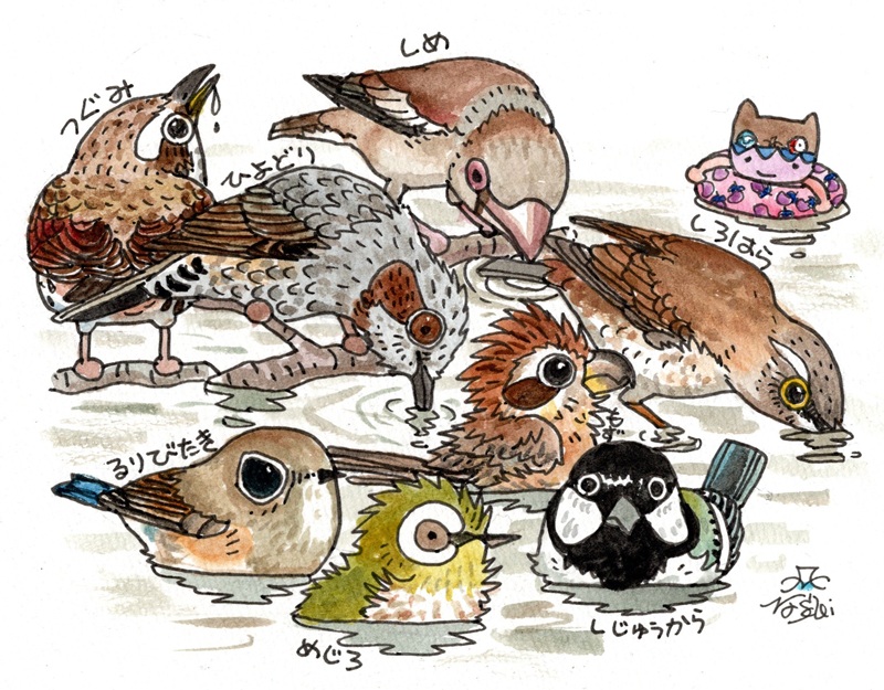 ふじたかなすびページ① 今日は小鳥の集まる水場へ行って来ました