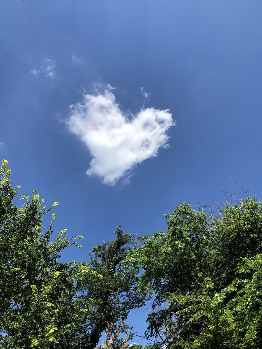 i14nn's tweet photo. ❤️ https://t.co/IUaj0LtToG