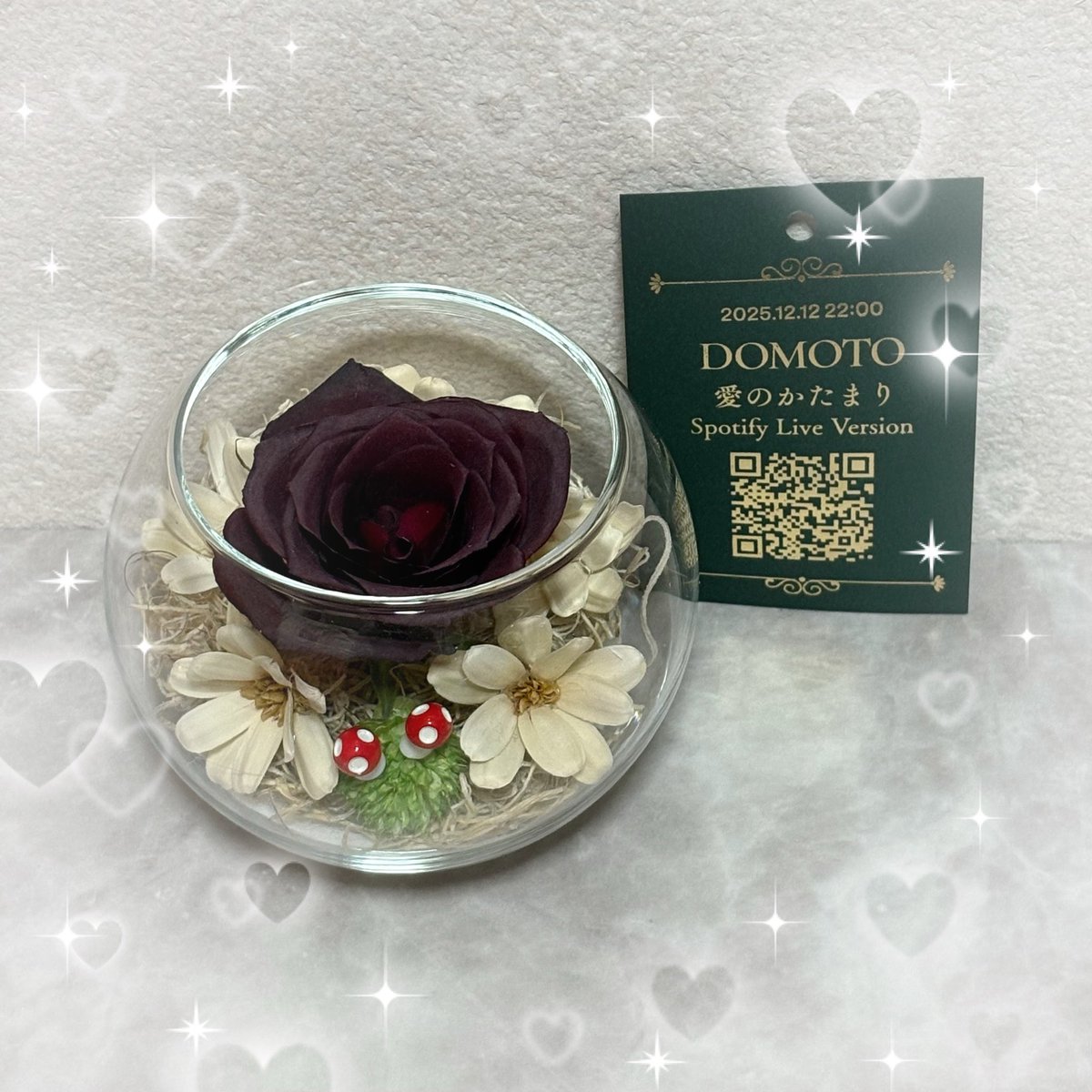 ♥不動産王姫♥ ʚ hiro ɞ (@alice11410) / Posts / X