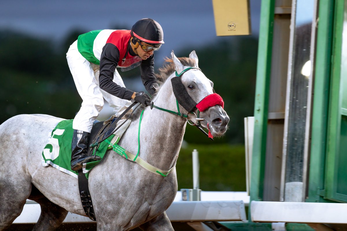 MujazALfrusia's tweet image. الحفل ( 48 )
نتيجة الشوط ( 5 )

• الفائز : الباز الاشهب
• الاب : DESTIN
• الام : الشاهمه
• المالك : ابناء الشريف هزاع شاكر العبدلي
• تدريب : عبدالعزيز الموسى
• قيادة الخيال : عبدالله الفيروز
• مسافة الشوط : 1400 م
• الزمن : 1:30:90
 
#موجز_الفروسية