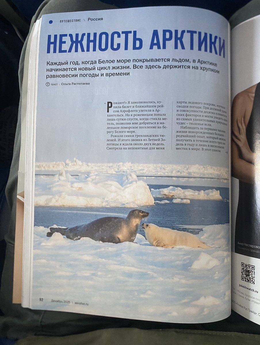 открыл бортовой журнал на случайной странице... ладно