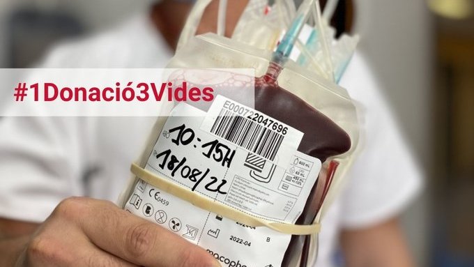 GVA Dona Sang tweet media