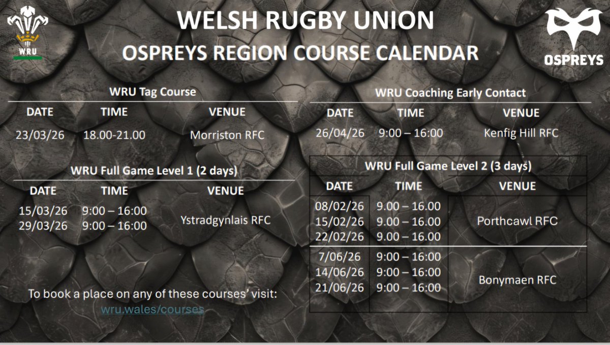 Sarah Lewis tweet media