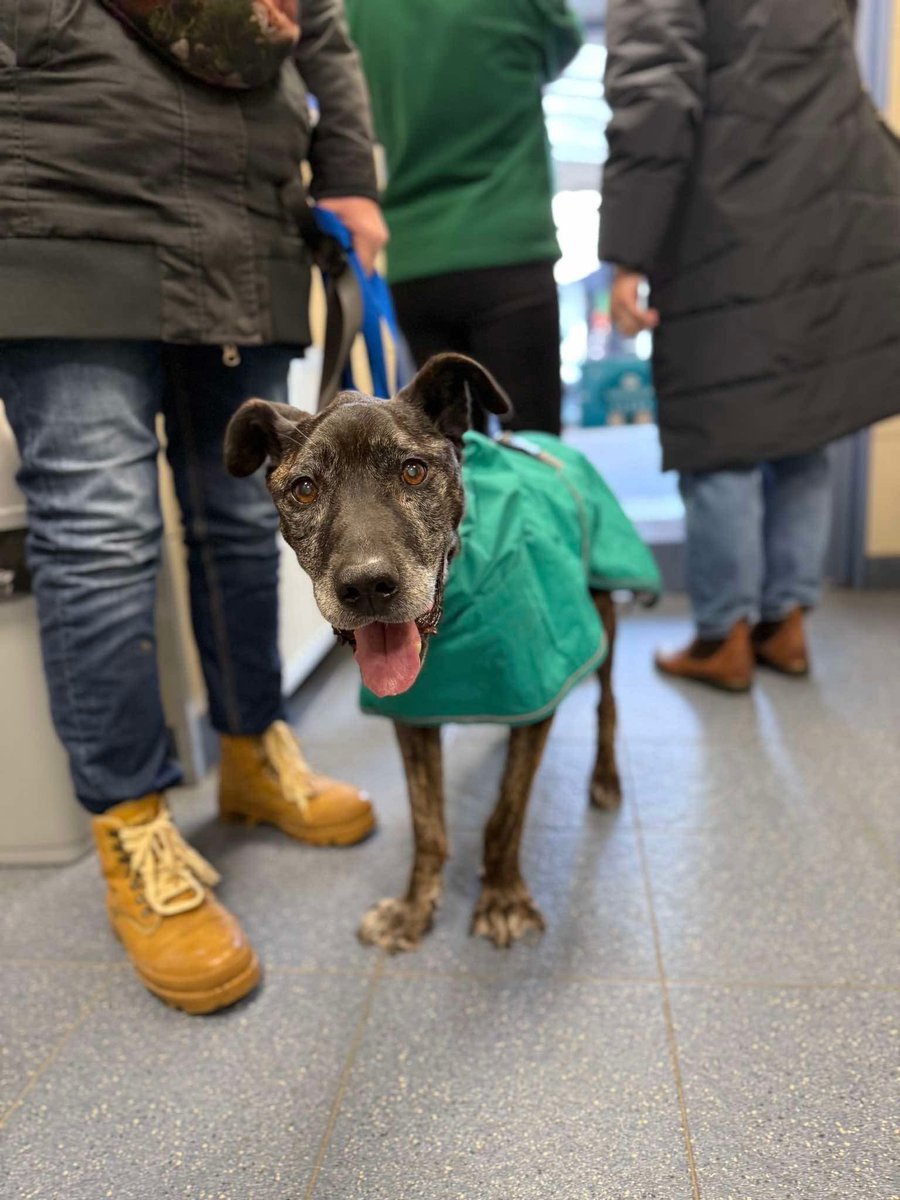 Ka SzaLew 📚 tweet media