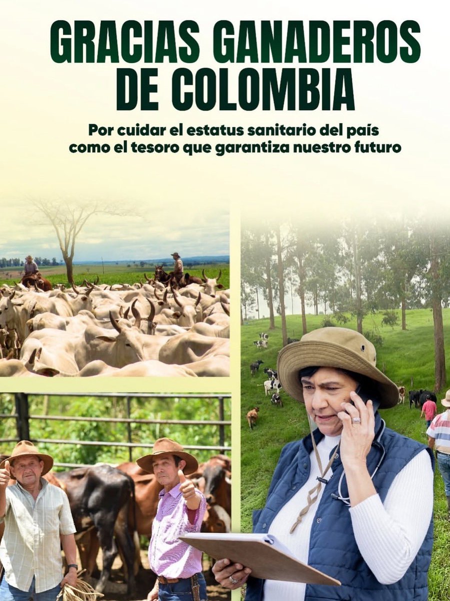 Pl_hatocorozal's tweet photo. En el PL Hato Corozal reconocemos el compromiso de quienes trabajan en el campo para fortalecer la ganadería de nuestros municipios.
Ganaderos y vacunadores: gracias por su disciplina y amor por el territorio. 🐄💉🤍
#aftosa #construyendoganadería
@Fedegan https://t.co/je4nR6R5To