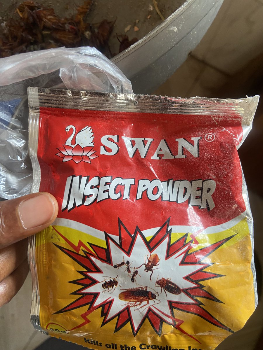 Itz_hafsoh's tweet photo. Swam —it is sold for 500 -700

I have been packing cockroaches since I used it. https://t.co/39wFWQfwGp