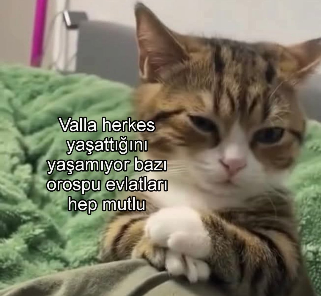 100de100mutsuz's tweet photo. https://t.co/xSaaUTH4Du