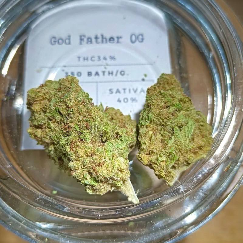 God Father OG
34% THC
Just $600 a Lb
Send us a DM to order🔥