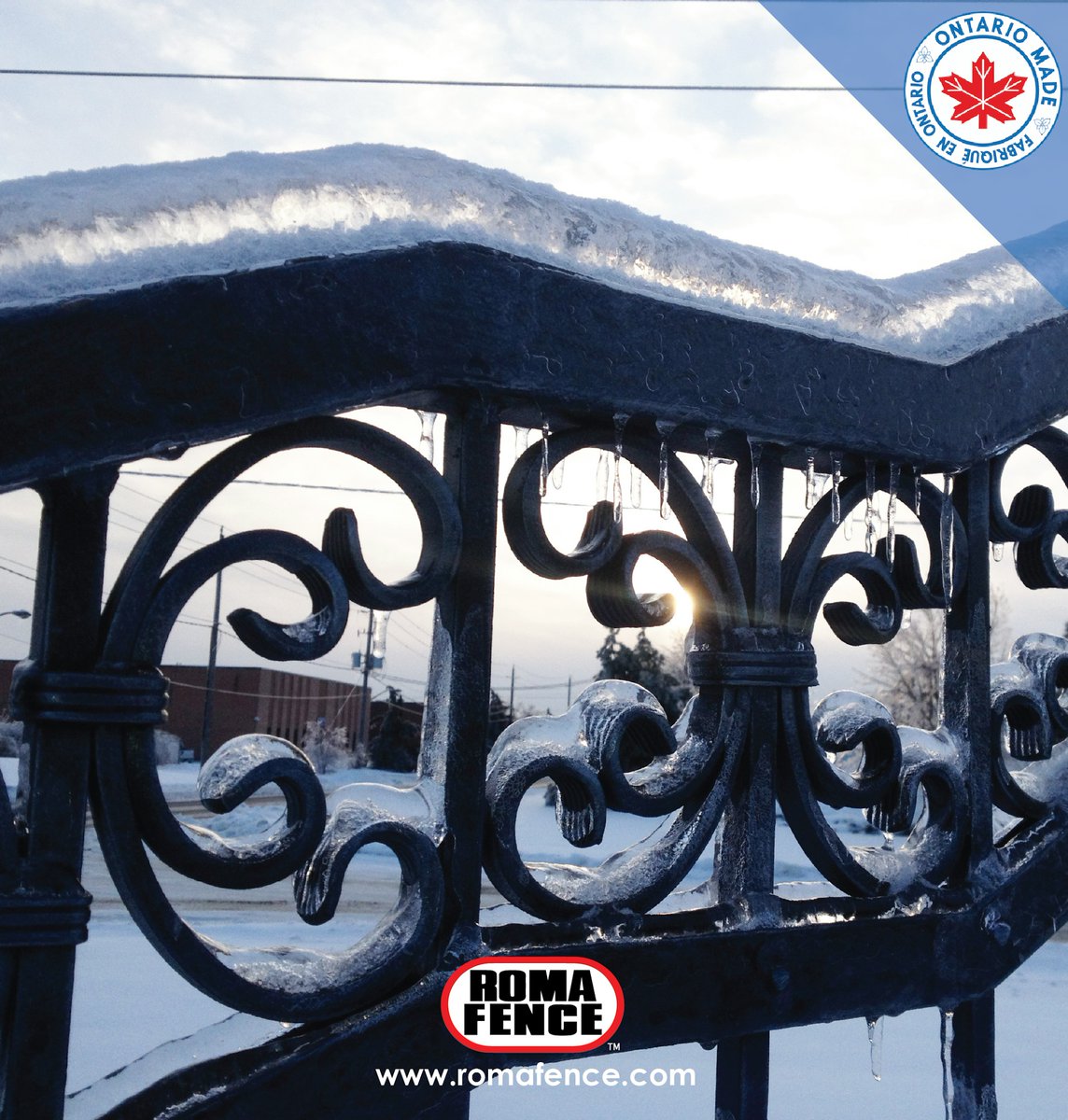 RomaFence's tweet image. Feelin' Frosty! ❄️ 🧊 #ornamentalirongate #icegate