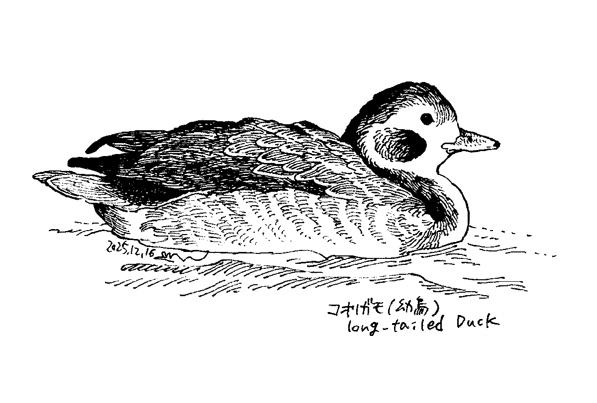 tsukushinu (@yukiji61) / Posts / X