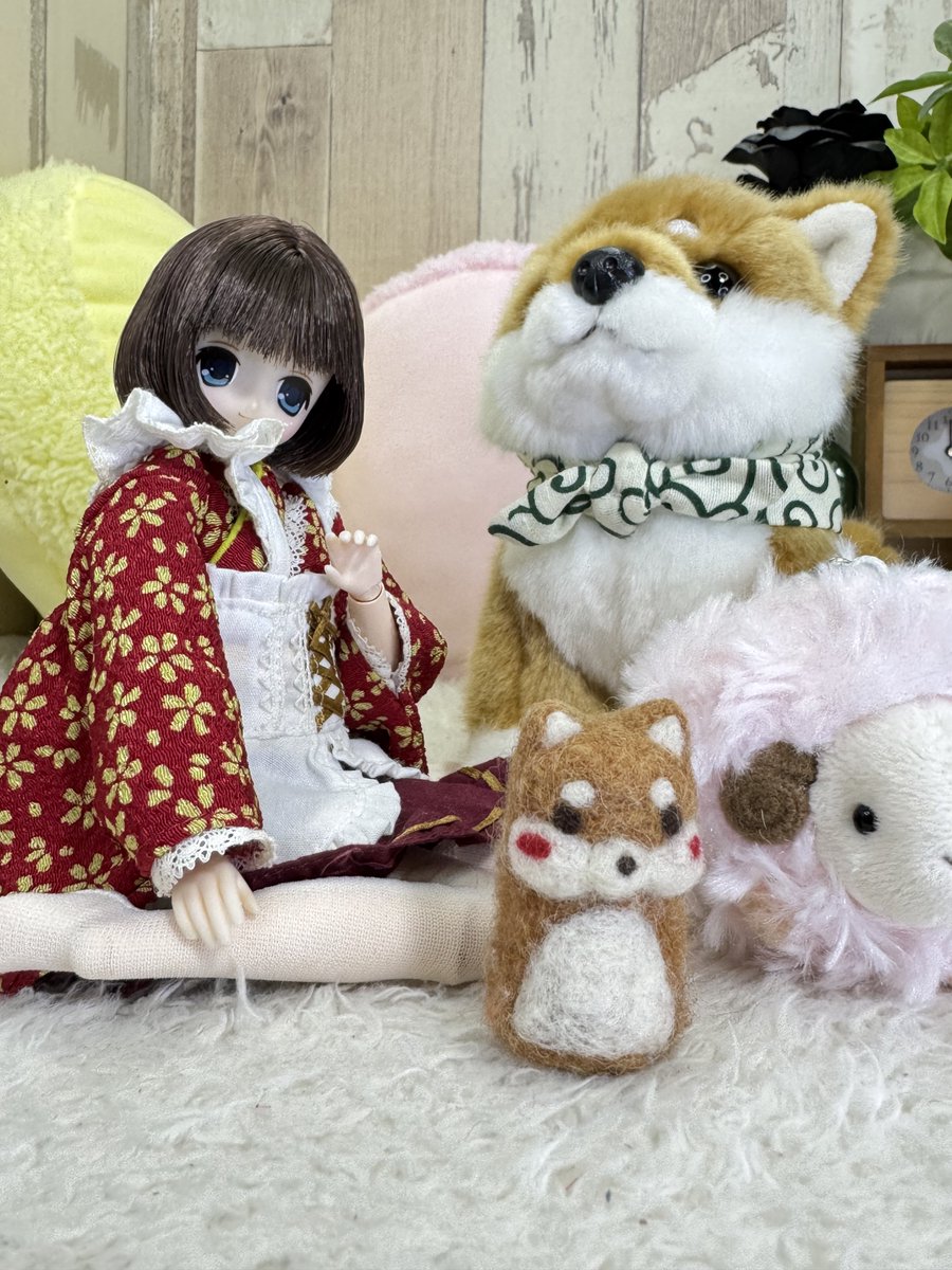 くまきち (@bearbeartyan) / Posts / X