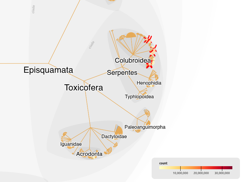 Damien de Vienne 🦋 damdevienne.bsky.social tweet media