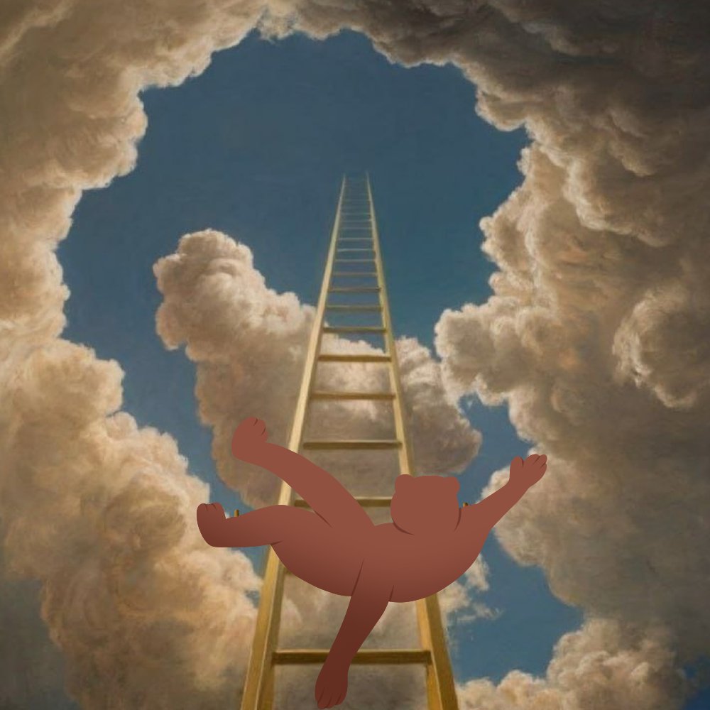 down only from here

berachain