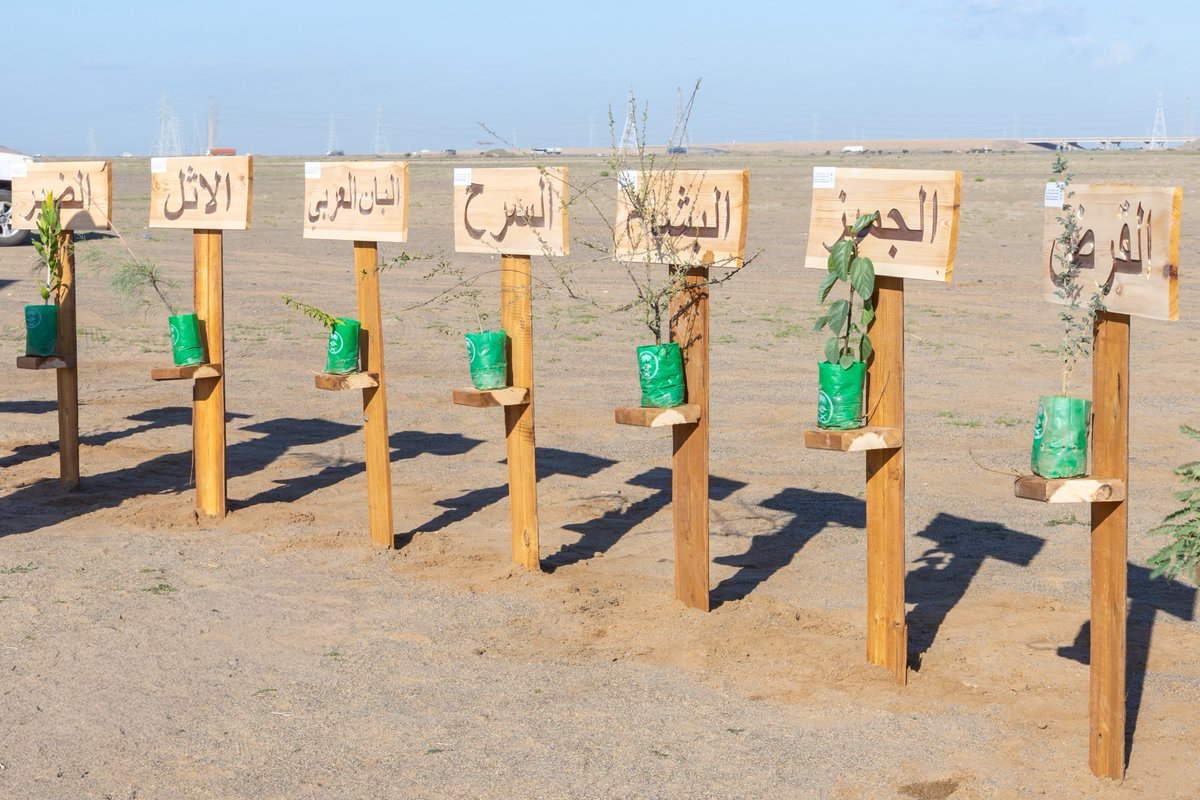 بهدف التوسع في الغطاء النباتي وتحسين المشهد البيئي ..
المياة الوطنية والمركز الوطني لتنمية الغطاء النباتي ومكافحة التصحر يدشنان مشروع تشجير متنزه وادي قديد الوطني بمنطقة مكة المكرمة بزراعة 85 ألف شتلة.