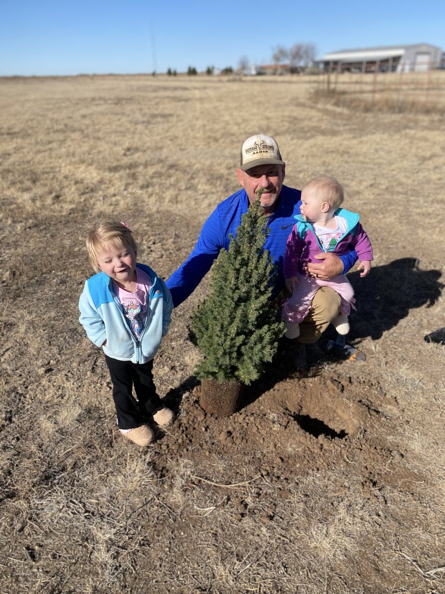 Viv and Margo got their Christmas tree out in Pop and Lovey’s pasture yesterday.  Looks like a good one!