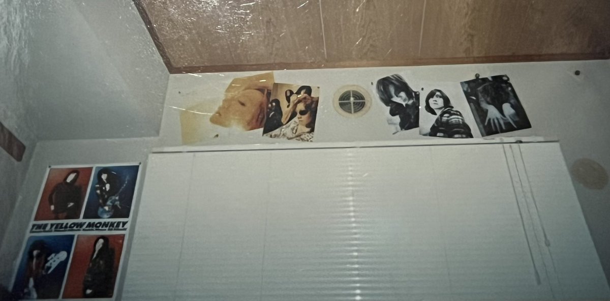 1997年頃の私の部屋の壁の写真でてきた わーわー🐒 このポスターたち