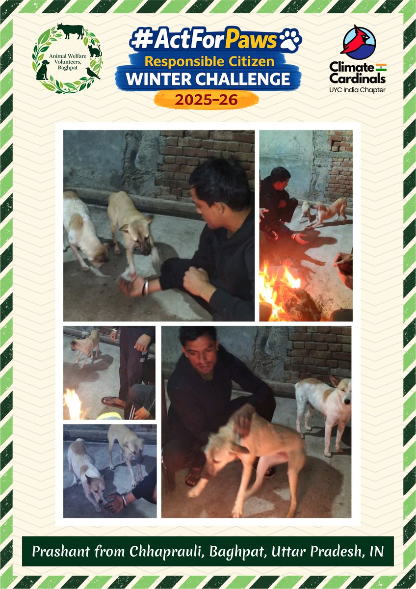 Animal Welfare Volunteers, Baghpat tweet media