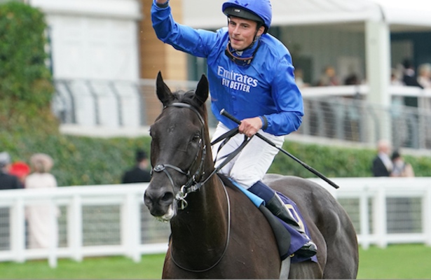 Division rankings: <a href="/DoctorDerby/">Chip Gehrke</a> considers which turf male deserves the Eclipse Award.

horseracingnation.com/blogs/Doctor/D…

📸: Shamela Hanley / Eclipse Sportswire