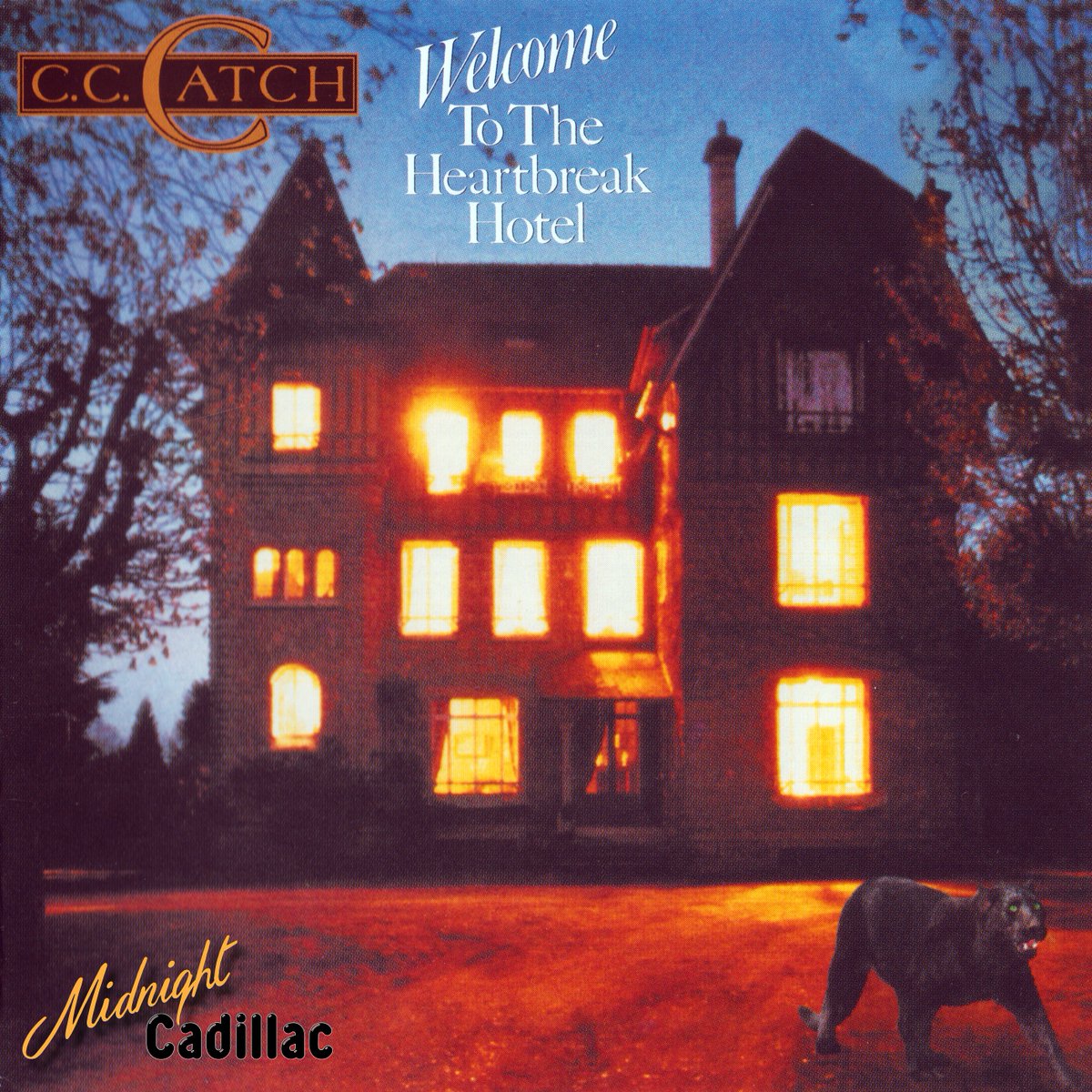mid_cadillac's tweet image. Midnight Cadillac - Record Collection #1317
C. C. CATCH Welcome To The Heartbreak Hotel (Unofficial release) 
CD • Russia • ZAiKS 225 • 2021 • Klub80 
#midnightcadillac #cccatch #dieterbohlen #luisrodriguez