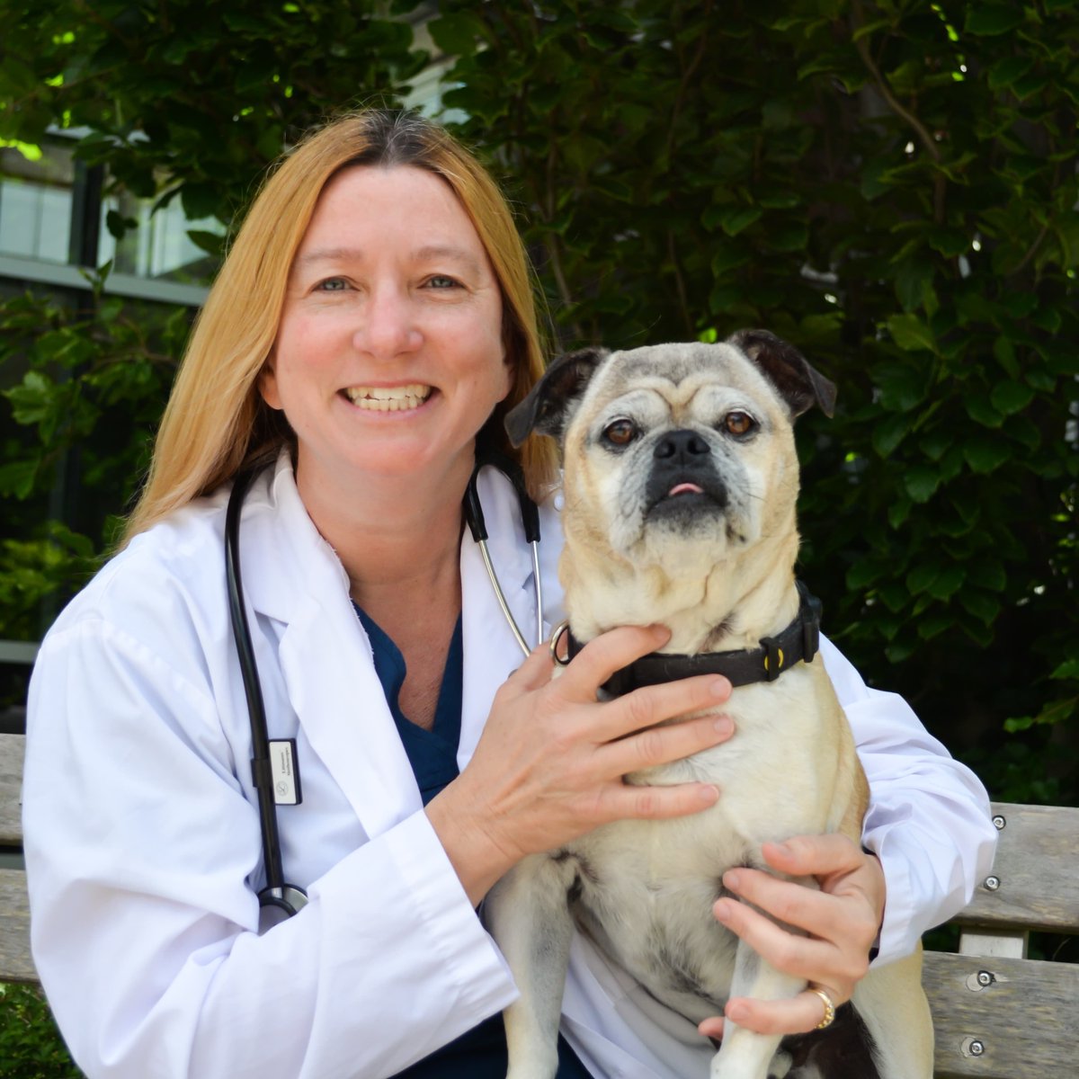 Ontario Veterinary College tweet media