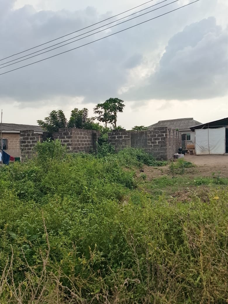 BigTeeana's tweet photo. Day 4 of posting my mommy land , so she can find a buyer 
Location : Ibogun Fashina , Off OOU campus , Ogun state . 
Price : 5m naira ( slightly negotiable) 
A plot of land https://t.co/ibFY0wKu7x