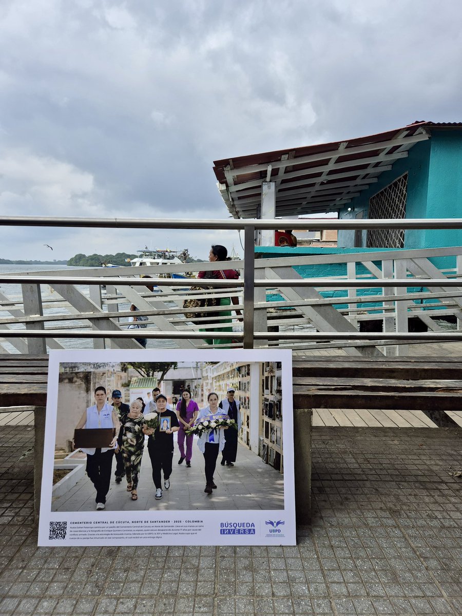 Misión de la ONU en Colombia tweet media