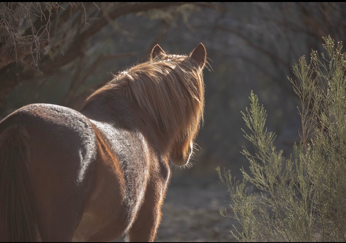 “Zâyi olmuş bir heves yığınıyla, kalakalır insan.”