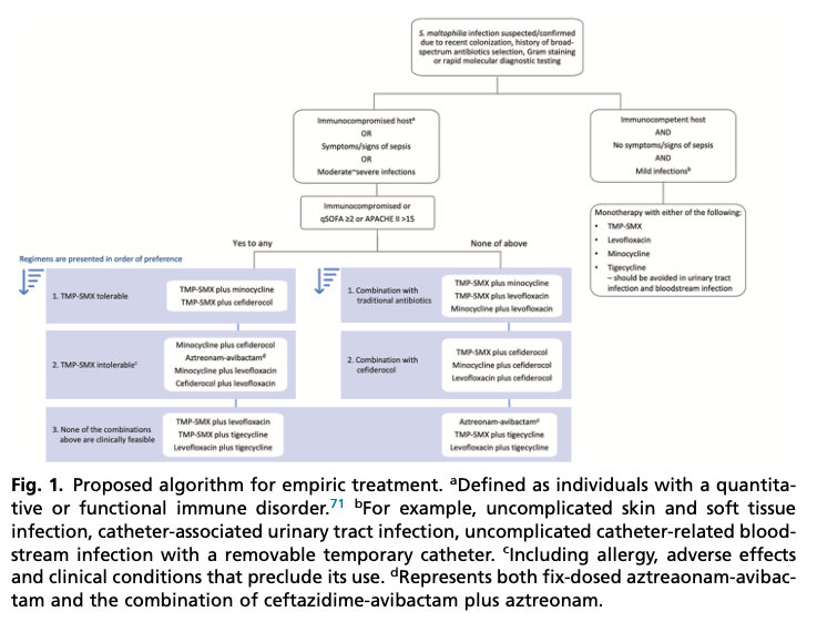 AliSMV7's tweet photo. Current Management Strategies for Stenotrophomonas maltophilia

https://t.co/W1f7aBa2hW https://t.co/cxWegnJcC8