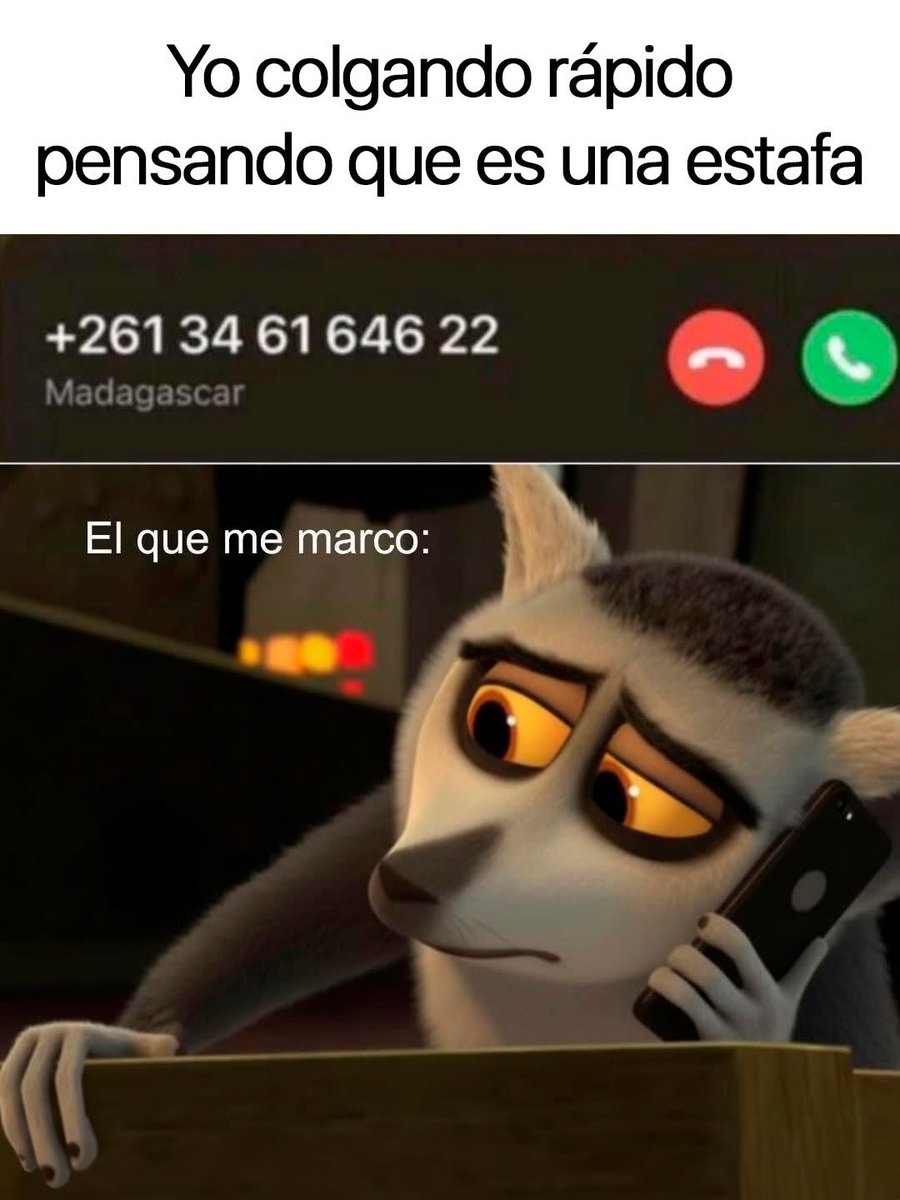 Rincón Curioso (@rincncuriosoo) on Twitter photo 