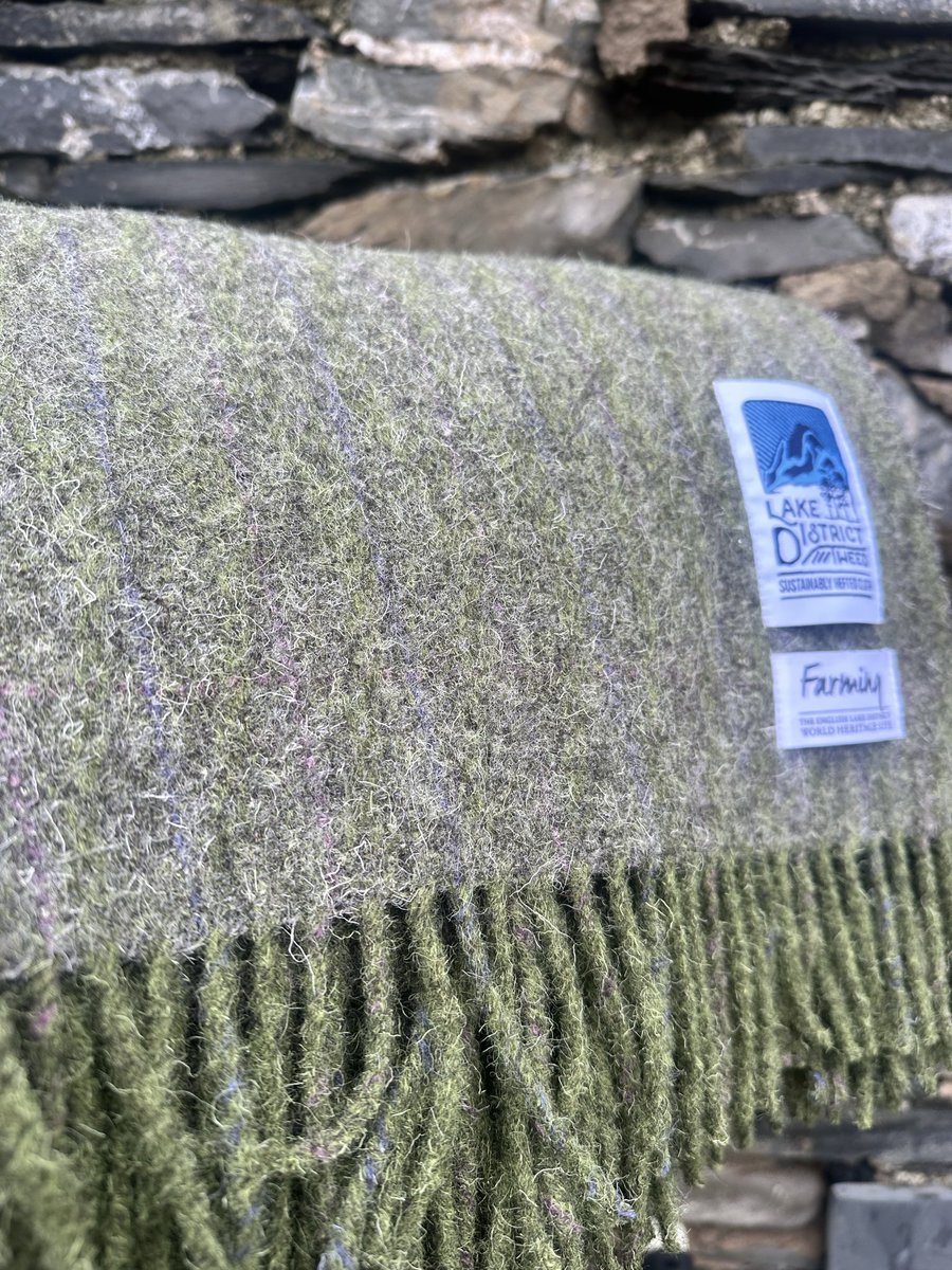 Maria Benjamin tweet media