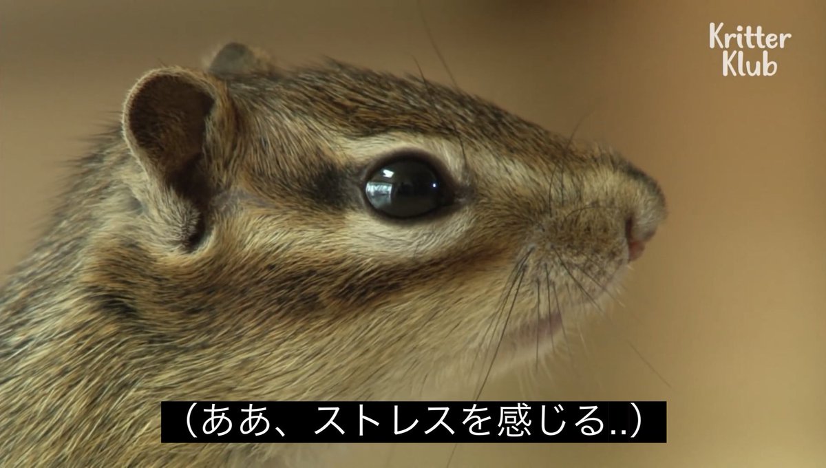 おなす (@0nasu) / Posts / X