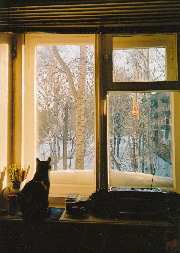 7sayaichiro7's tweet image. WindowS🏡
#дизайн #фото #интерьер #арт