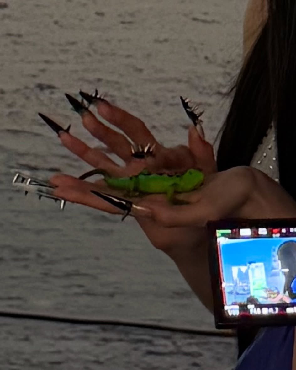 251218 anniesymoon Instagram #ANNIE