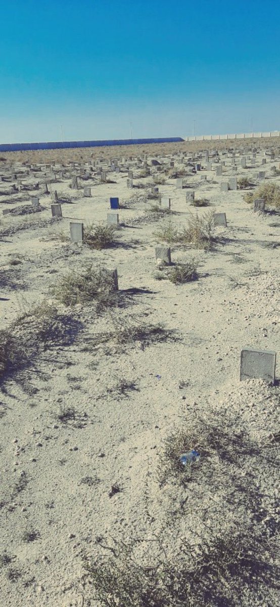 عيون الخفجي🇸🇦 tweet media