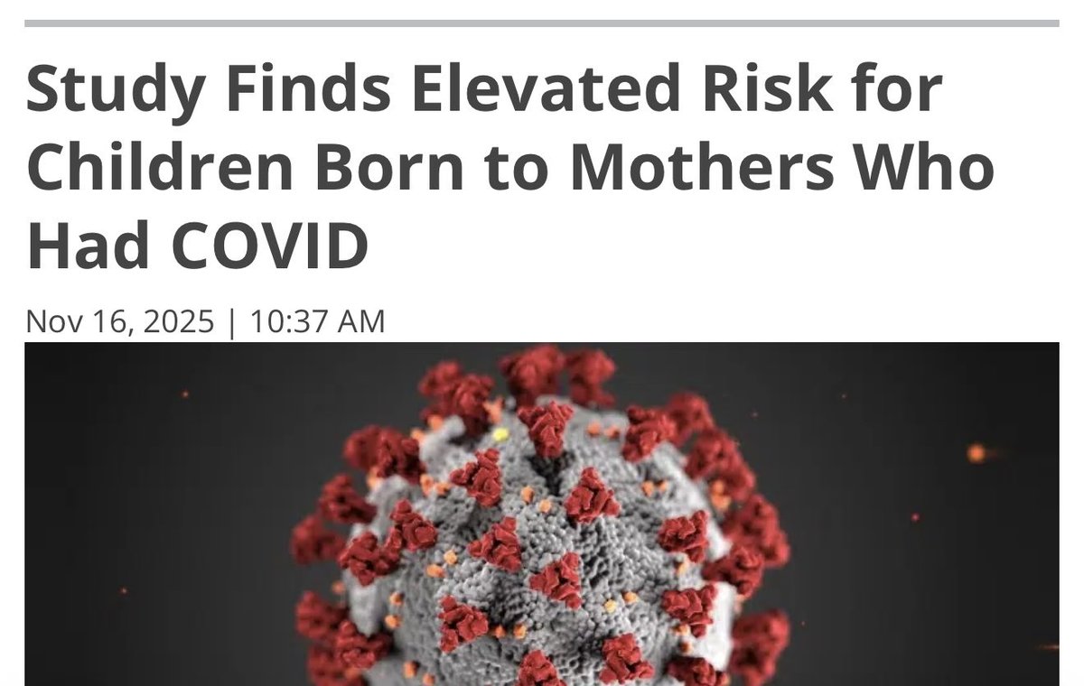 catmandont tweet media