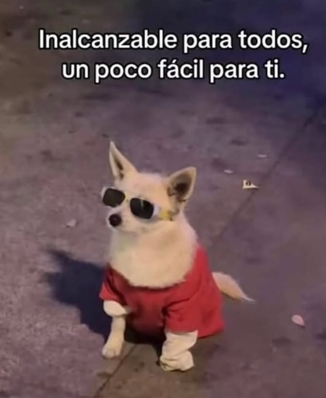 nacional_memes's tweet photo. 🐶 https://t.co/NPb4bAKOAX