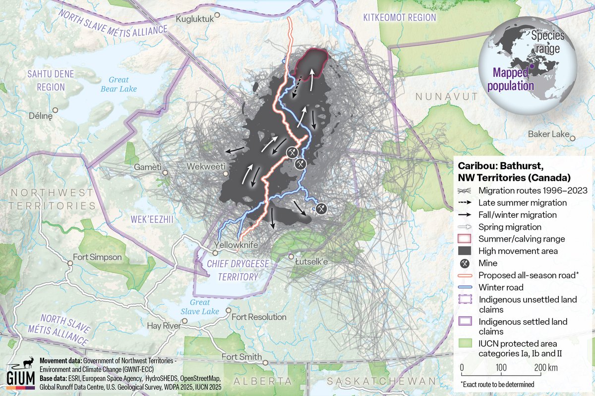 Global Initiative on Ungulate Migration tweet media